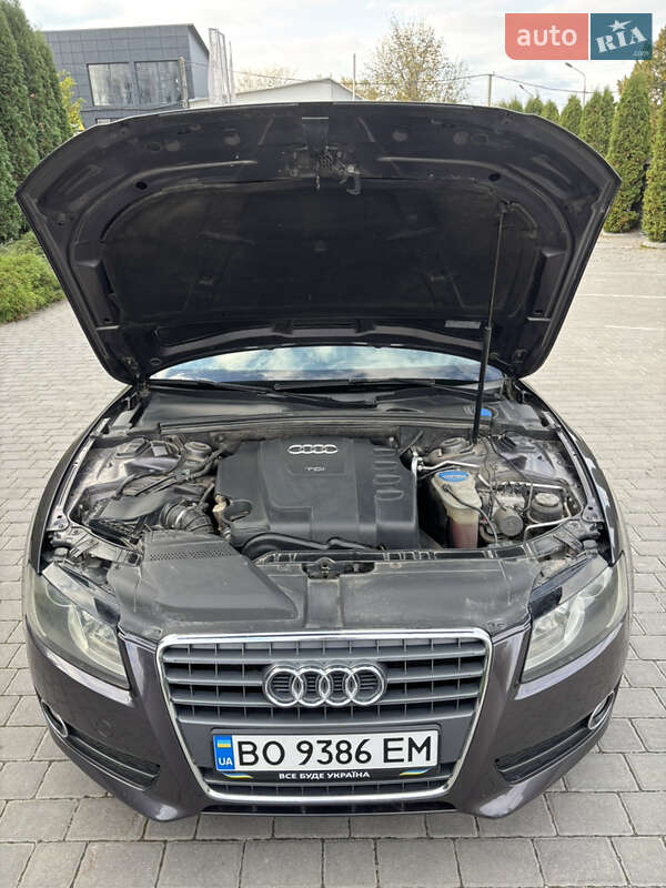 Audi-44