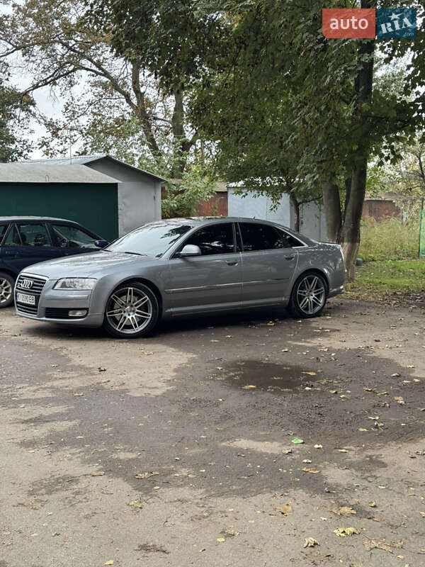 Audi-8