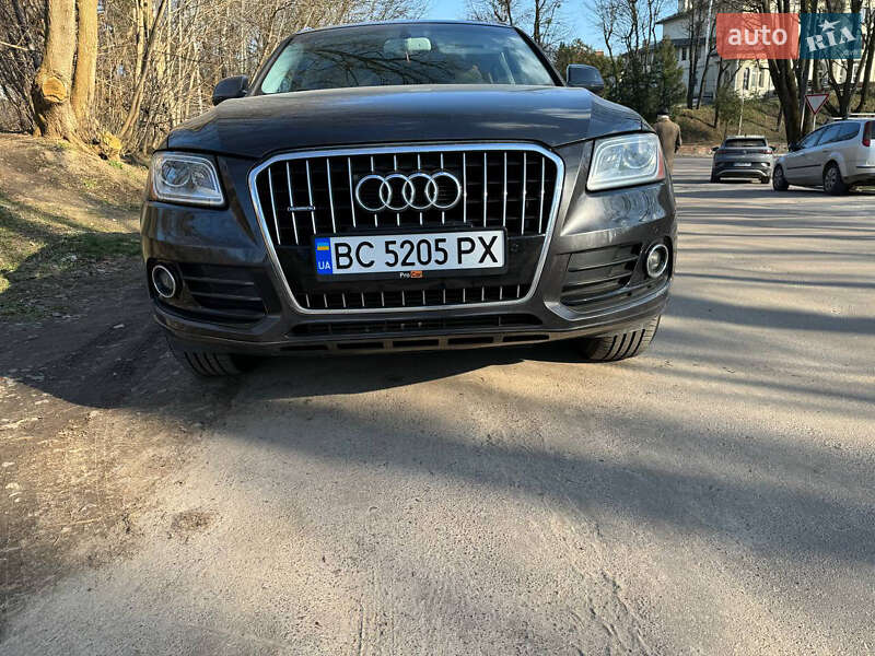 Audi-2