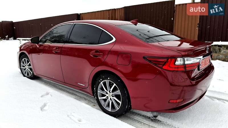 Lexus-21