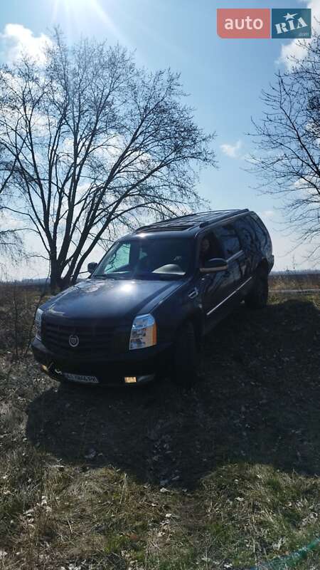 Cadillac-8