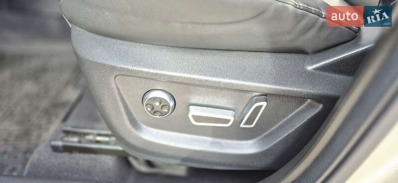 Chery-31