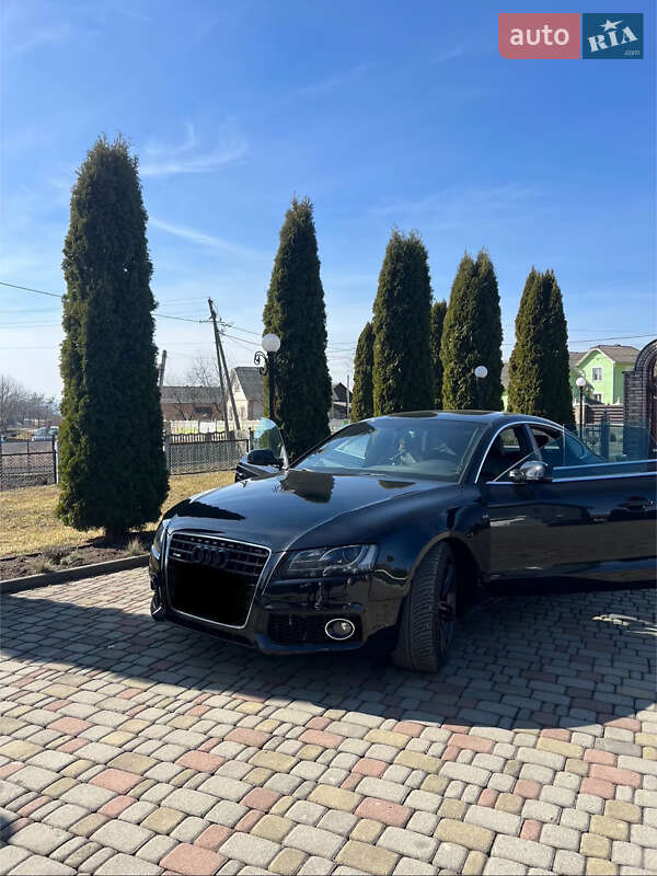 Audi-3