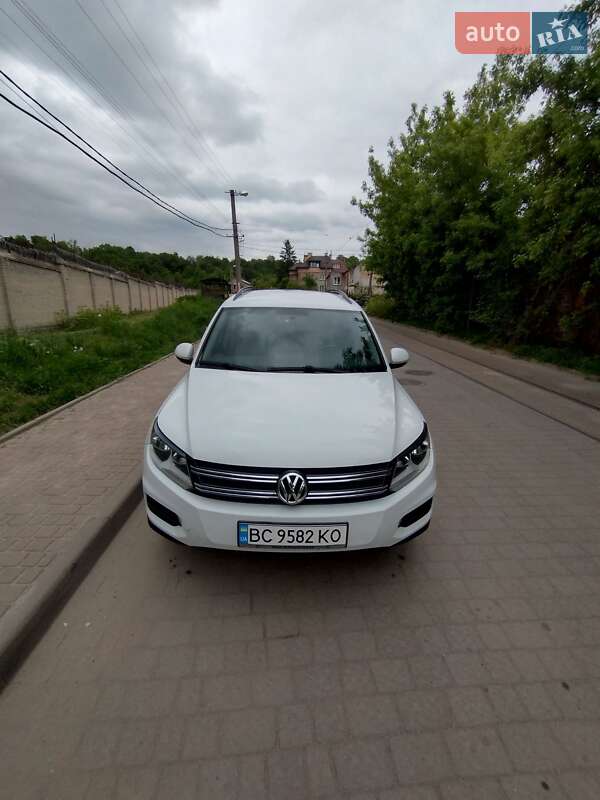 Volkswagen-20