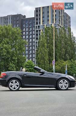 Mercedes-Benz SLK-Class 2010