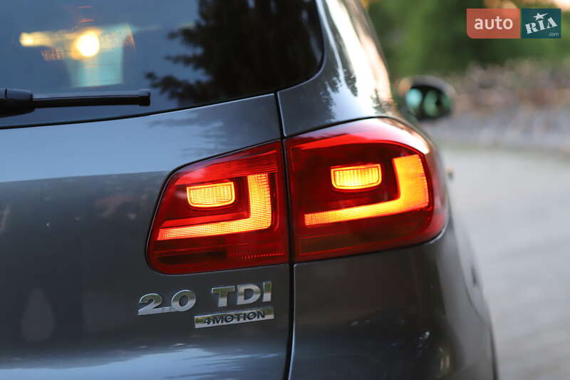Volkswagen-79