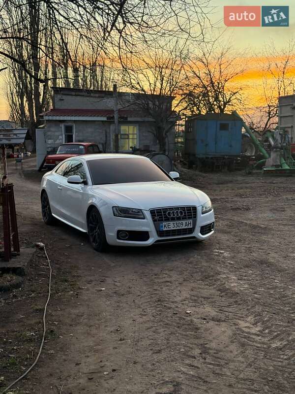 Audi-8