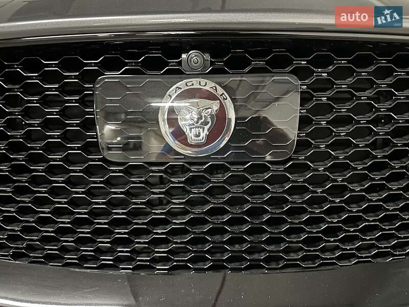Jaguar-7