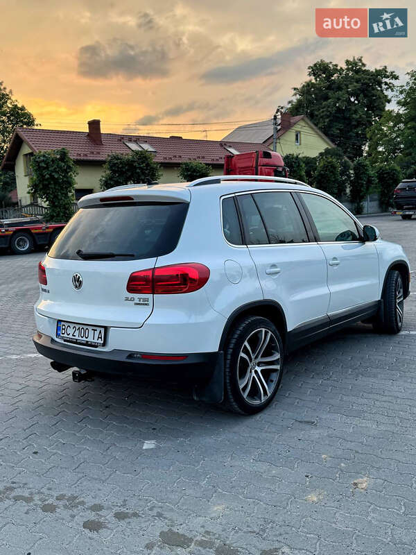 Volkswagen-21