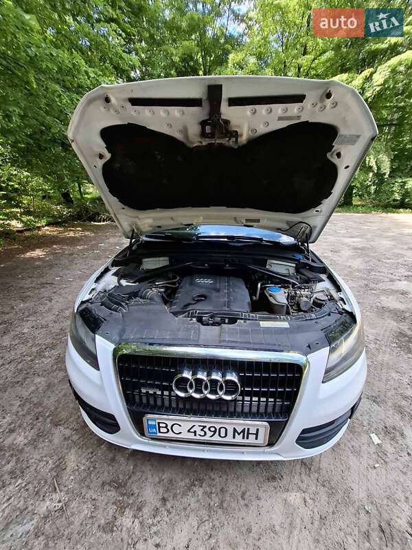 Audi-4