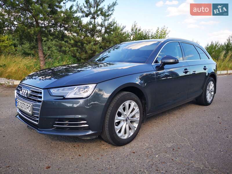 Audi-8