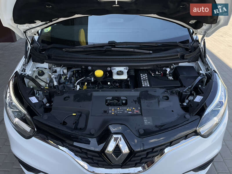 Renault Scenic 2019