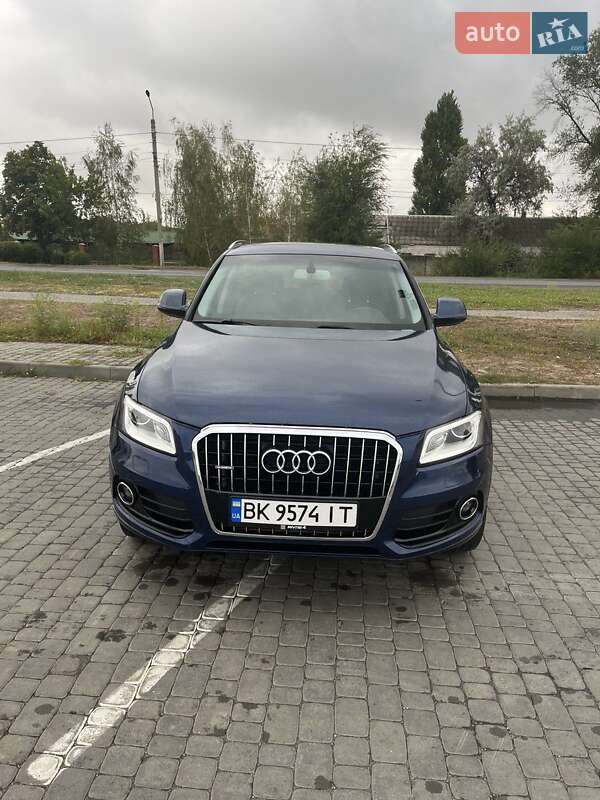 Audi-31