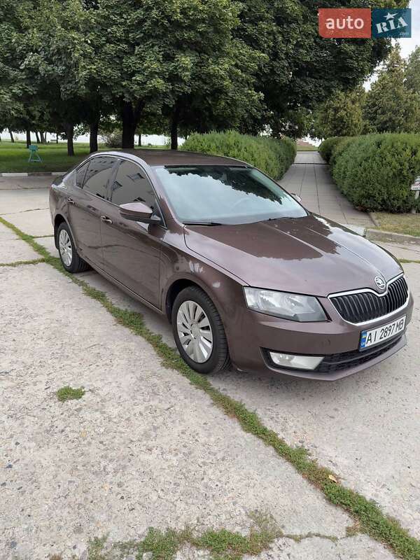 Skoda-11