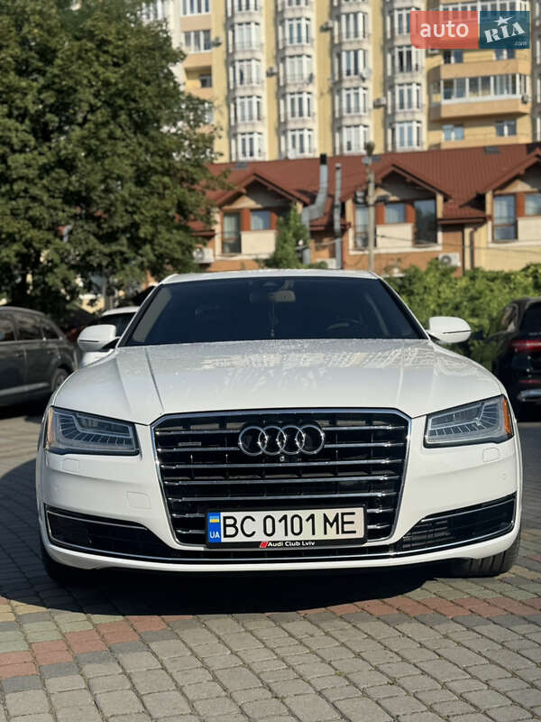 Audi-81