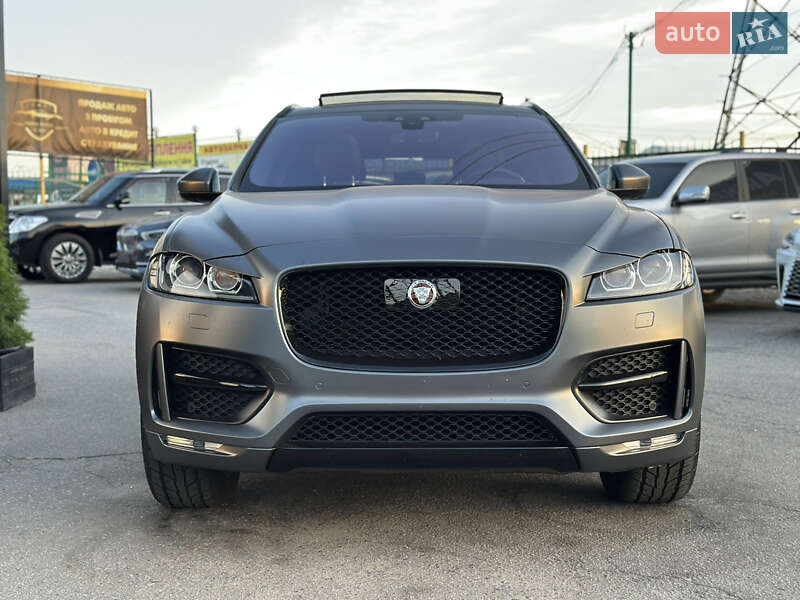 Jaguar-6