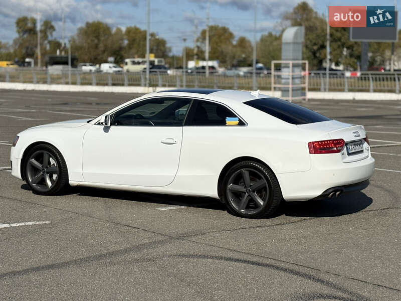 Audi-7
