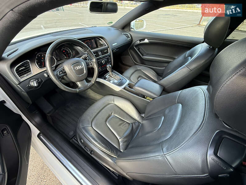 Audi-1