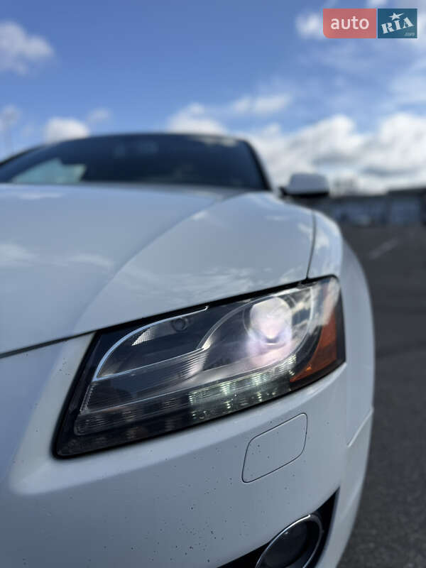 Audi-8