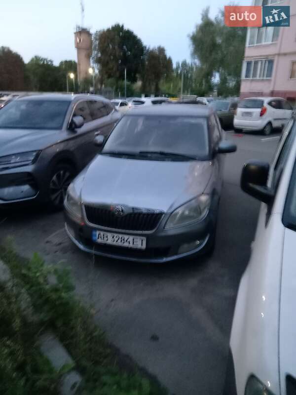 Skoda-2