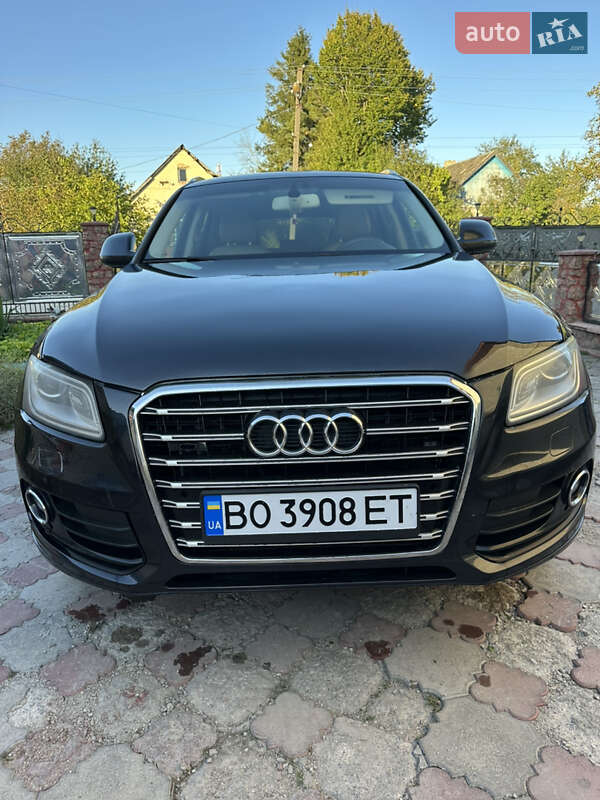 Audi-5