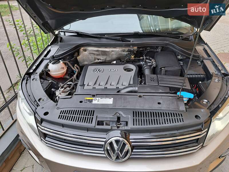 Volkswagen Tiguan 2013