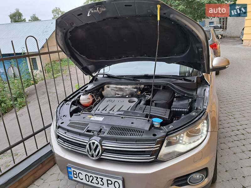 Volkswagen Tiguan 2013