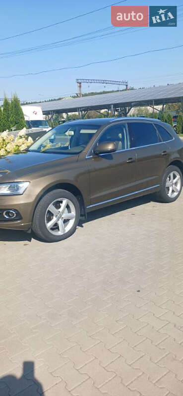 Audi Q5 2013