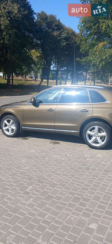 Audi Q5 2013