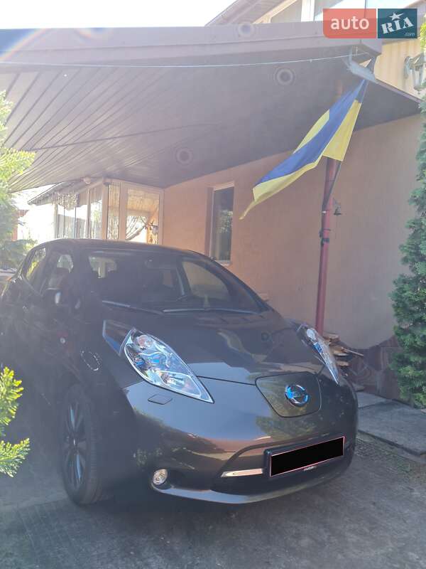 Nissan Leaf 2017