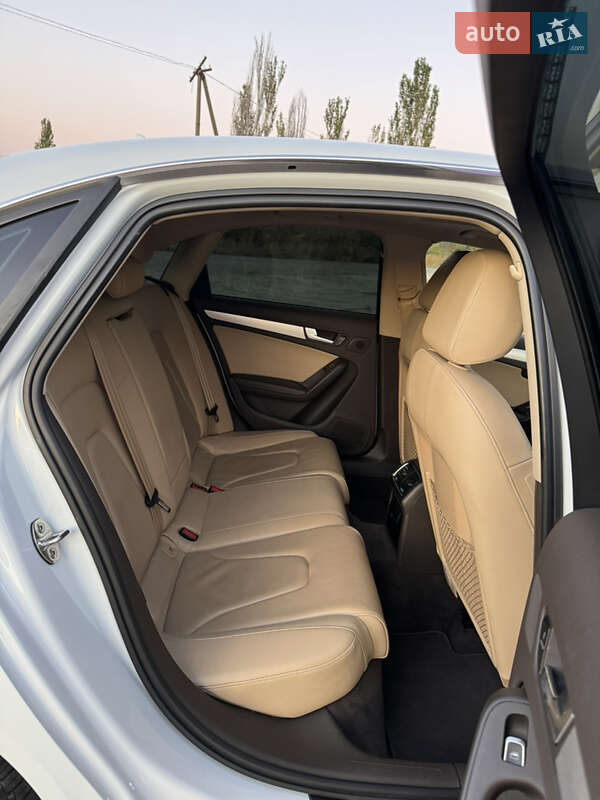 Audi-7