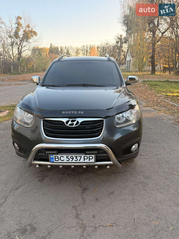 Hyundai-50