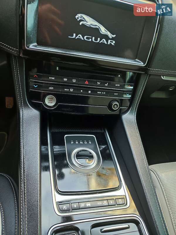 Jaguar-7