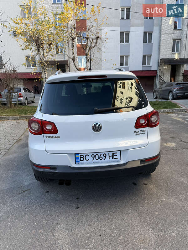 Volkswagen-6