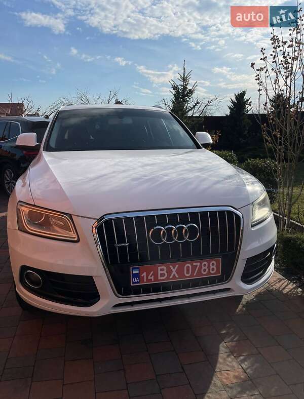 Audi-7