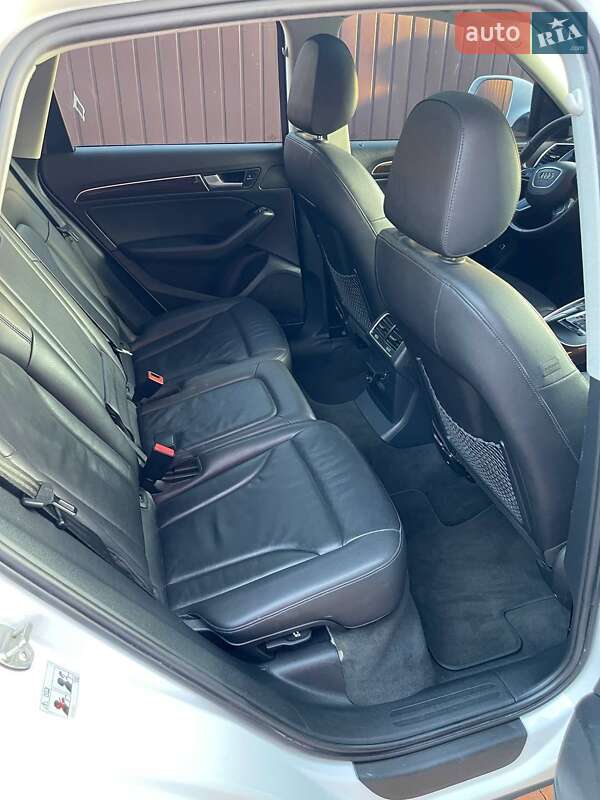 Audi-6