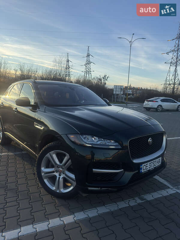 Jaguar-6