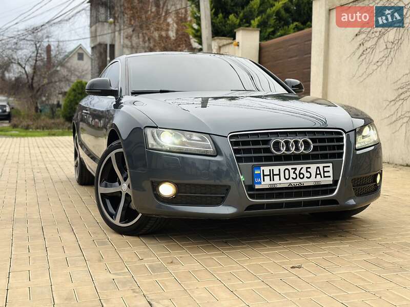 Audi-33