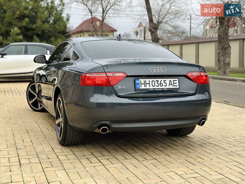 Audi-2