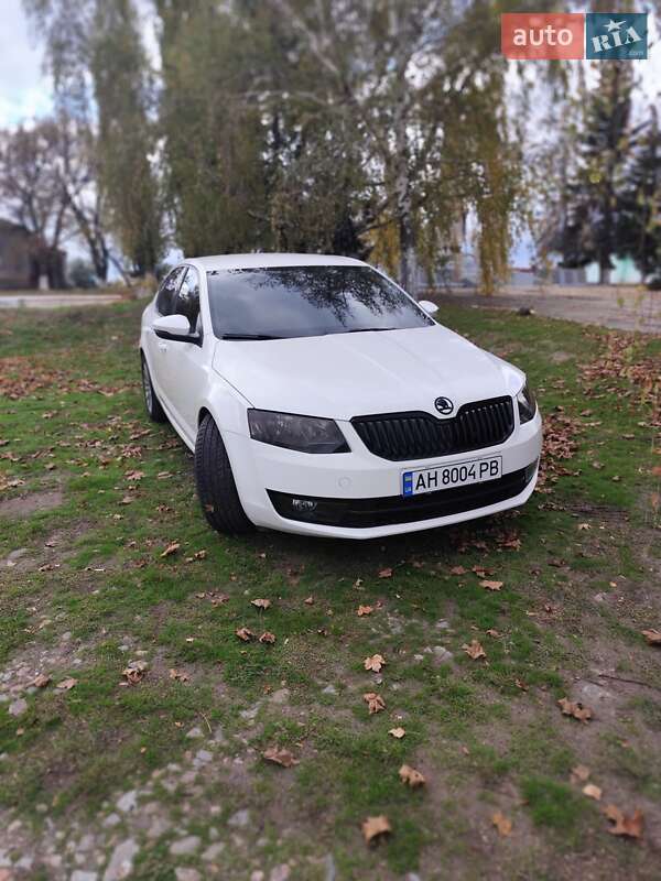 Skoda-1