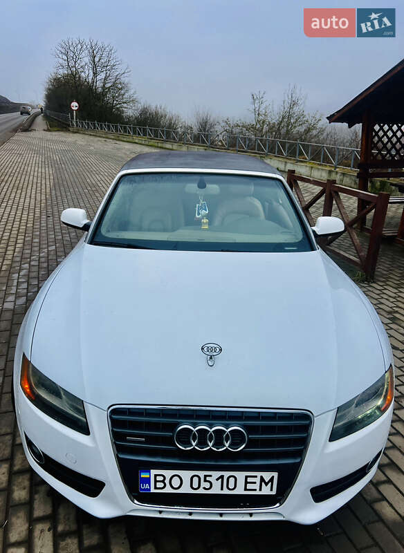 Audi-7
