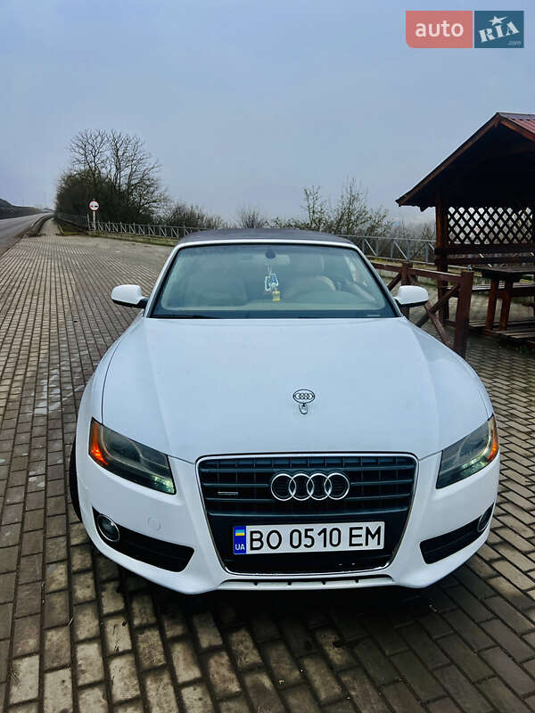 Audi-6