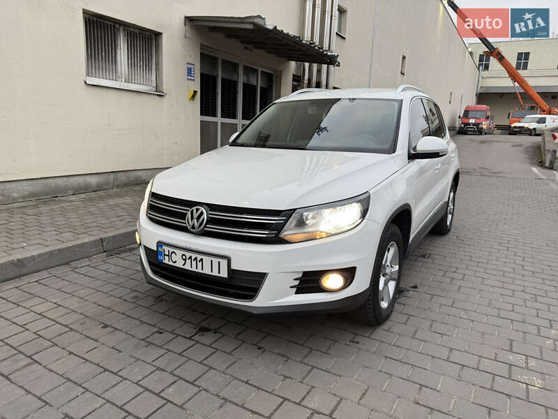 Volkswagen-21