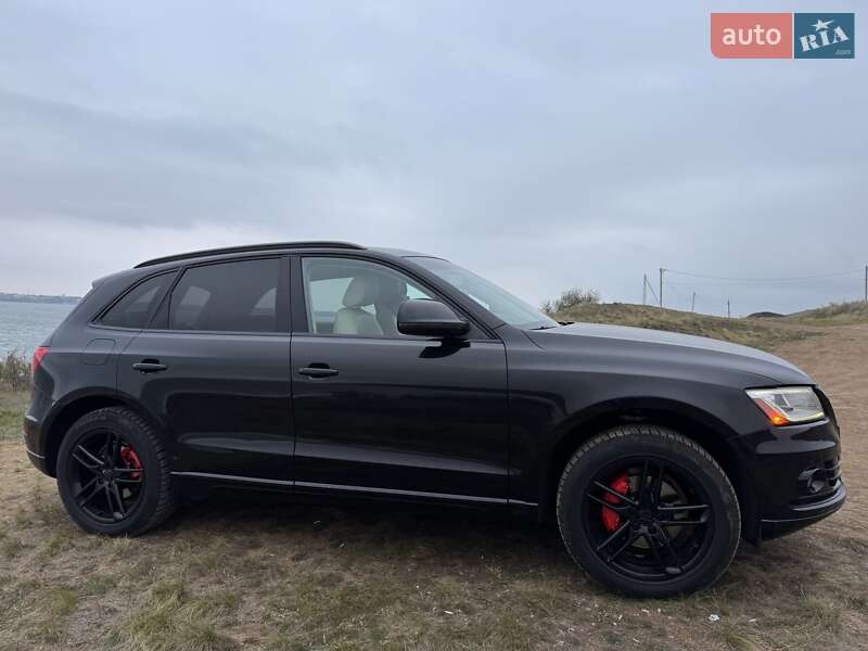 Audi-8