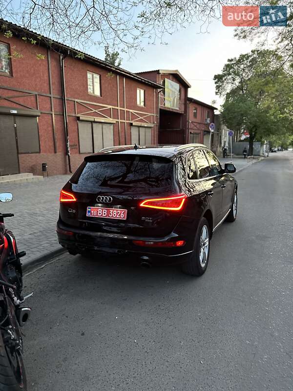 Audi-31
