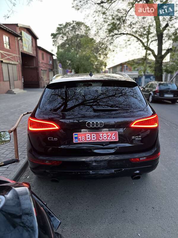 Audi-33