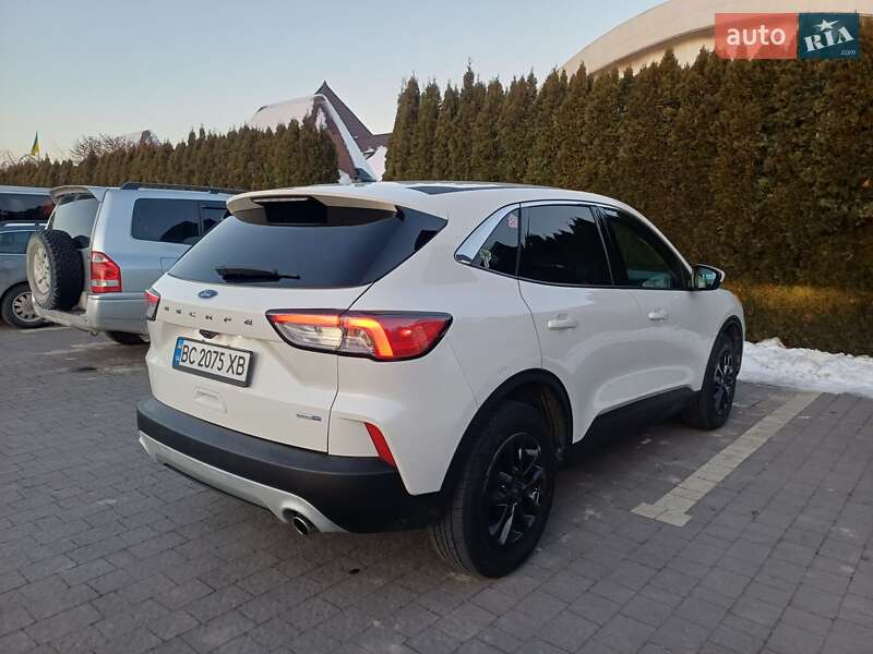 Ford Escape 2019