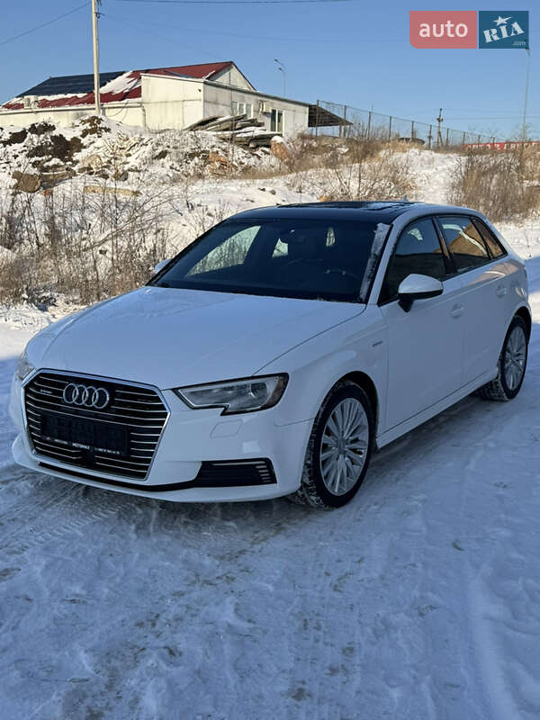 Audi-2