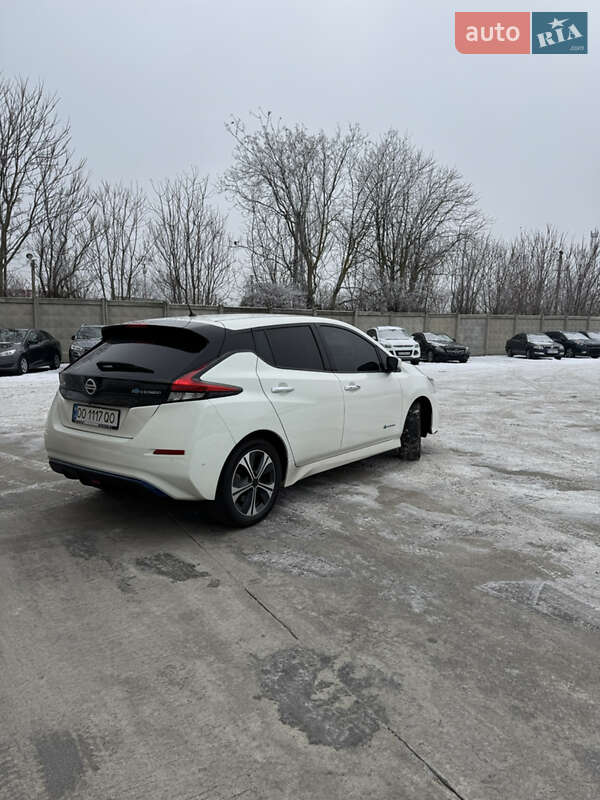 Nissan Leaf 2019