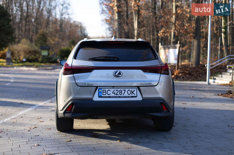 Lexus-8